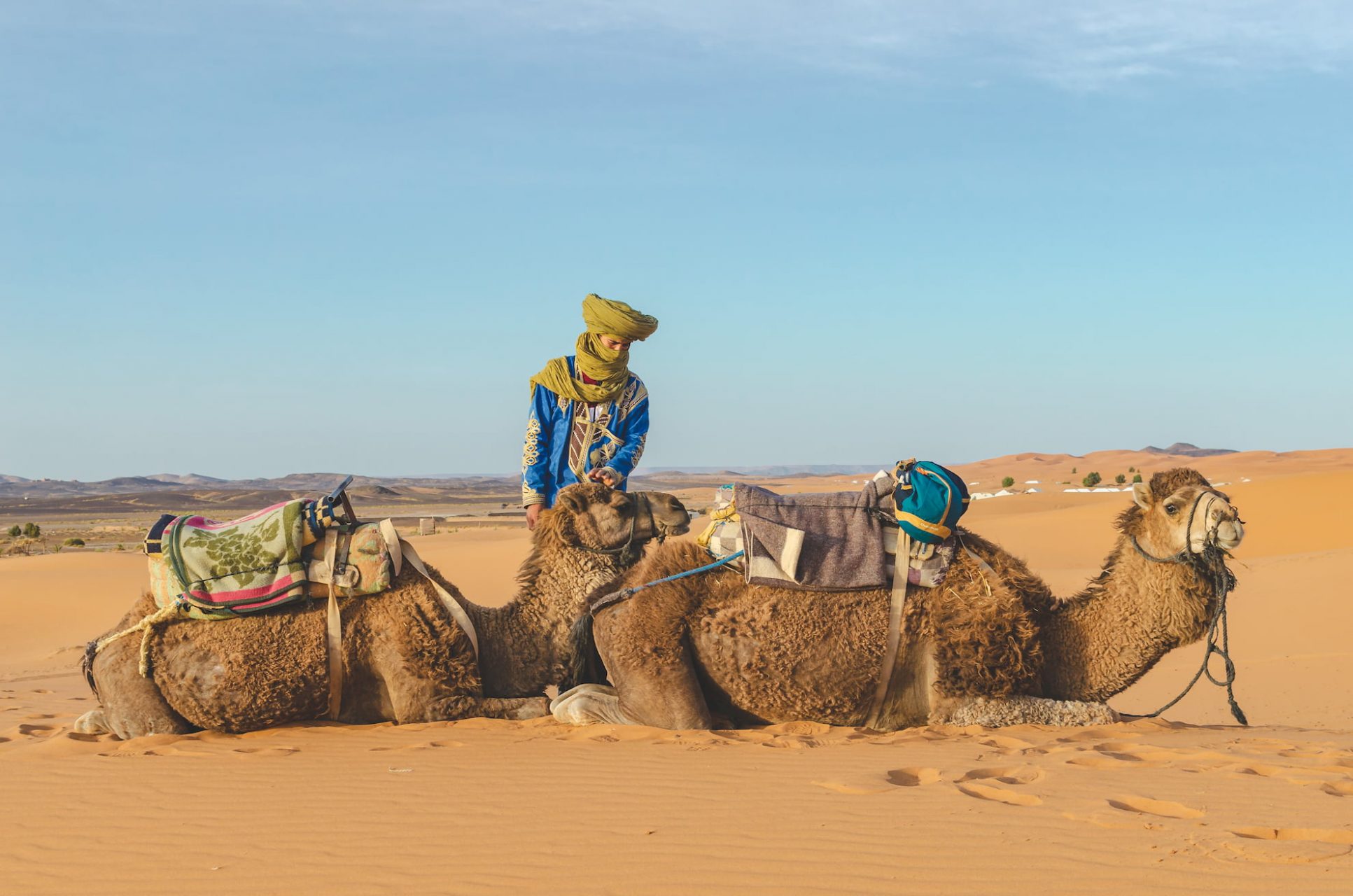 Sahara - Maroko 2019 - 2 velbloudi a beduín - Andyho Cestopisy